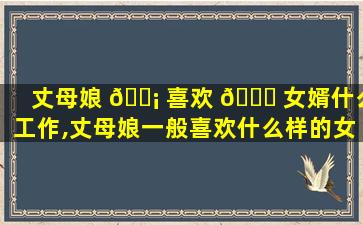 丈母娘 🐡 喜欢 🐕 女婿什么工作,丈母娘一般喜欢什么样的女婿